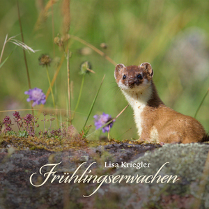 亚洲综合国产二区日韩精品
